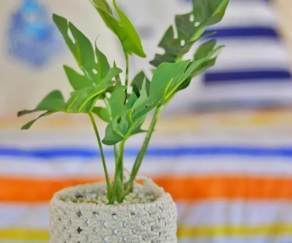 דירה House - Da Rocha