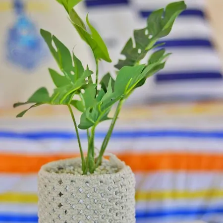 Apartment House - Da Rocha